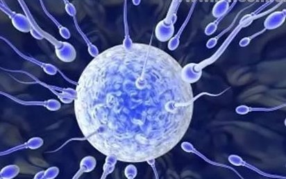 2026十堰人民医院试管婴儿技术怎么样？附生育成功率预估