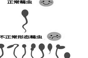 2026做试管婴儿要多少钱？可以报销不？