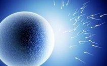 2026北京市做试管助孕成功率比较高的机构排行榜前五