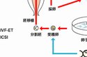 2026东阳三大助孕公司介绍，附联系方式详情
