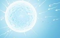 2026山东省十佳助孕公司名单，每家都各有特点和优势