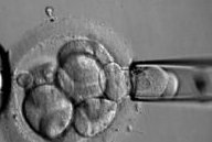 2026嘉兴助孕机构排名榜（医院名单今日全都公开）