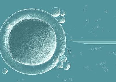 2026口碑榜出炉：湖北武汉助孕公司比较好的是这三家！