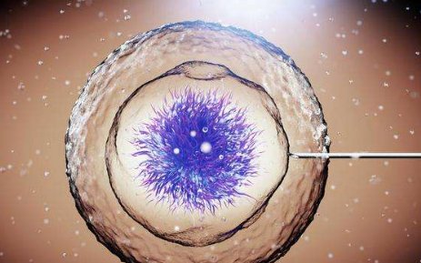 2026山西开展试管助孕成功率多少？附山西助孕机构选择指南