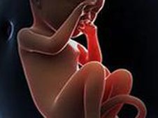 2026嘉兴前5三代试管助孕公司公布，这几家机构入选